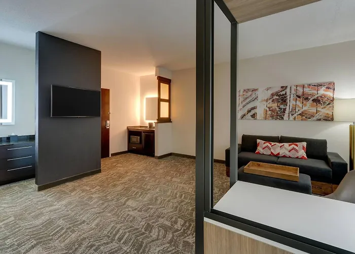 Springhill Suites By Marriott Birmingham Downtown At Uab